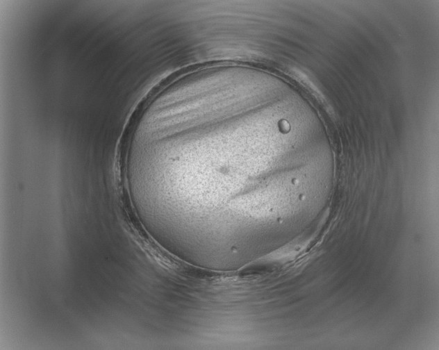 X0000068830883200605191856