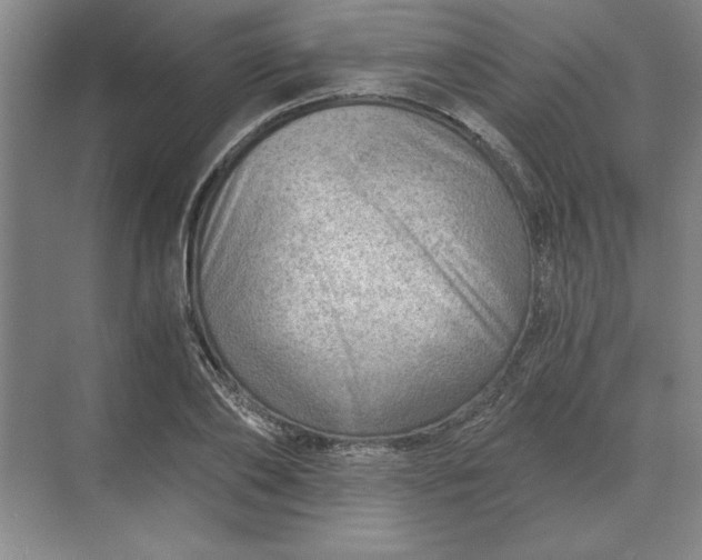 X0000068830886200605191856