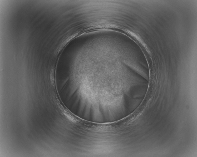 X0000068830889200605191856