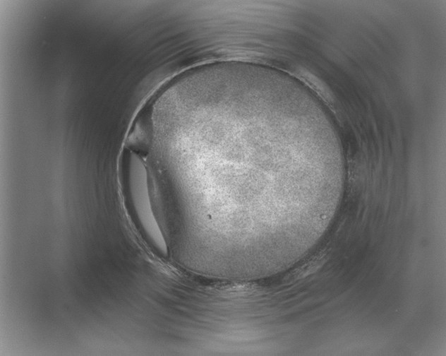 X0000068830891200605191856