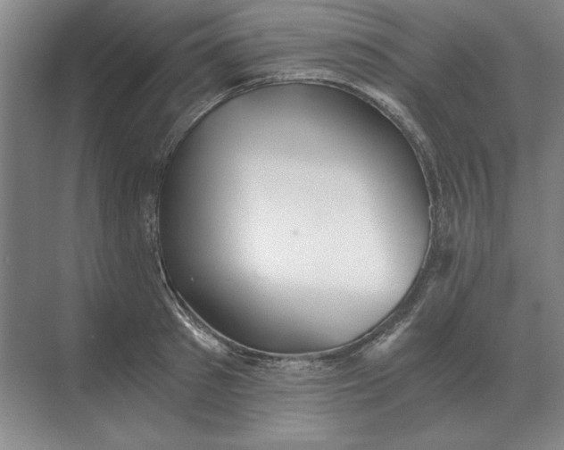 X0000068830897200605191856