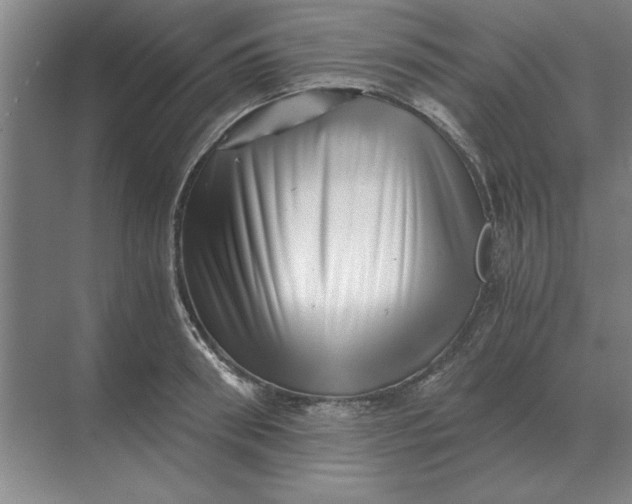 X0000068830898200605191856