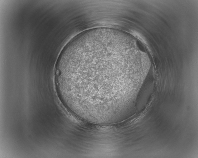 X0000068830899200605191856