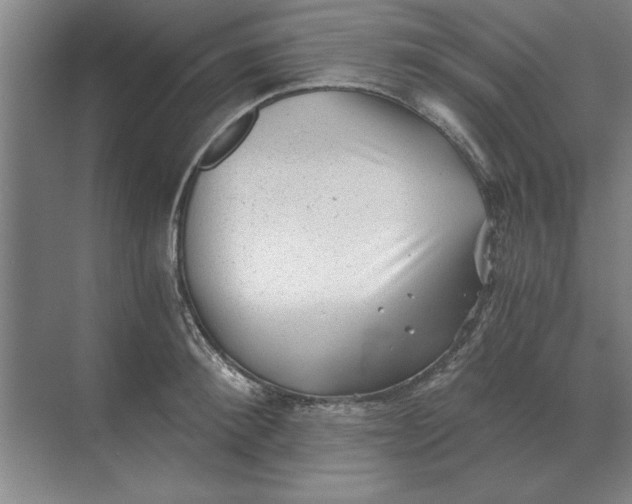 X0000068830900200605191856