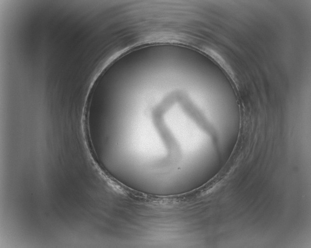 X0000068830901200605191856