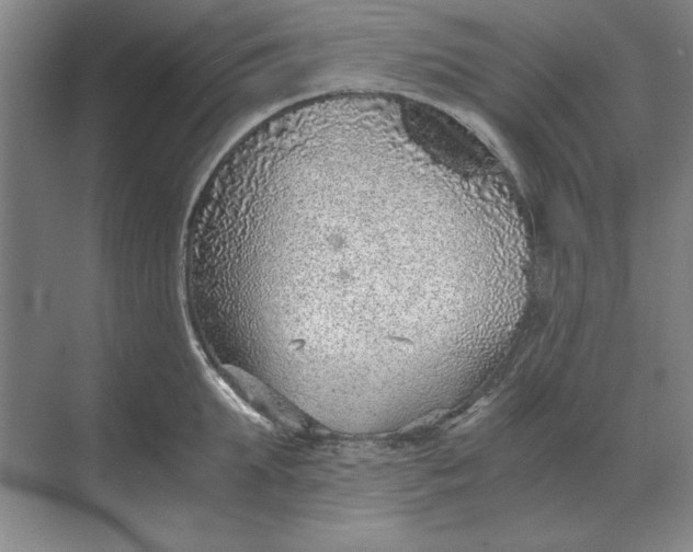 X0000068830903200605191856