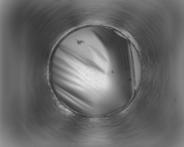 X0000068830904200605191856