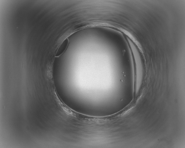 X0000068830905200605191856