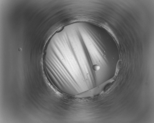 X0000068830906200605191856