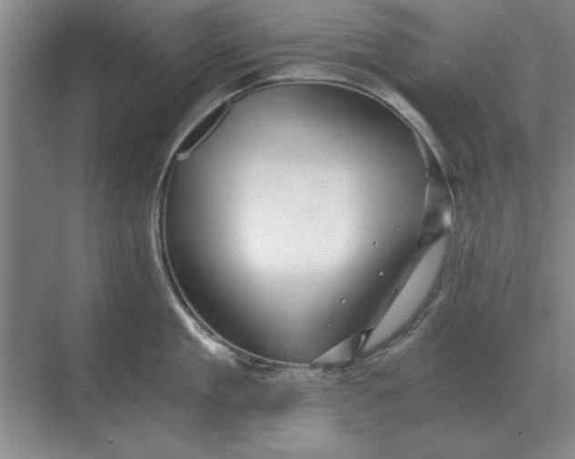 X0000068830909200605191856