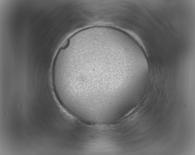 X0000068830911200605191856