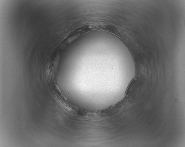 X0000068830914200605191855