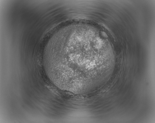 X0000068830919200605191855