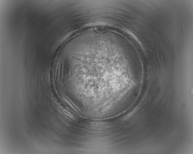 X0000068830921200605191855