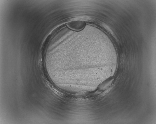 X0000068830923200605191855