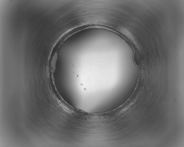 X0000068830924200605191855