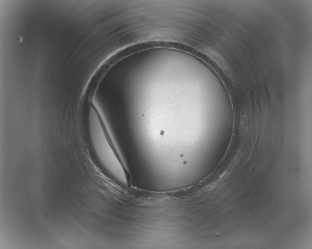 X0000068830926200605191855