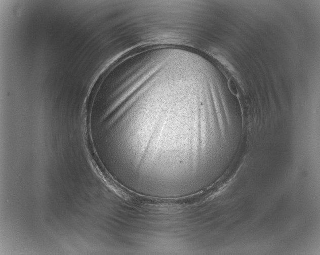 X0000068830933200605191855