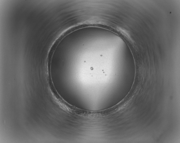 X0000068830934200605191855