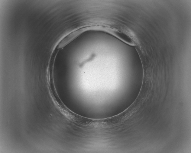 X0000068830936200605191855