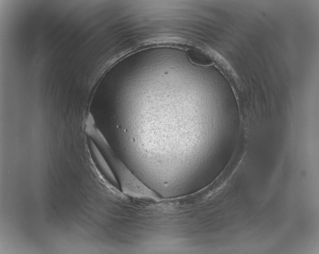 X0000068830937200605191855