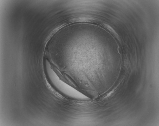 X0000068830938200605191855