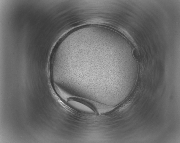 X0000068830939200605191855