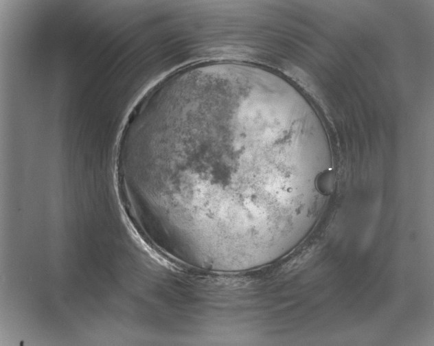 X0000068830941200605191855