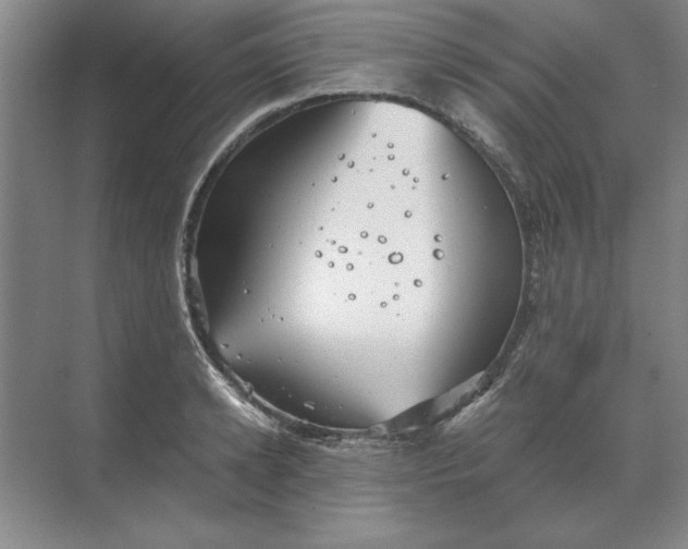 X0000068830942200605191855