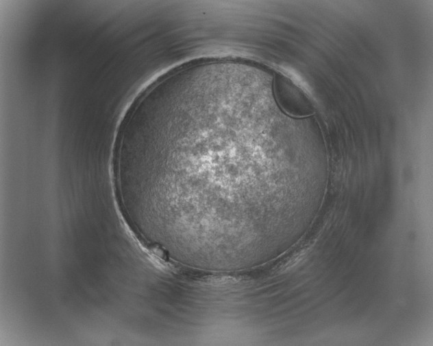 X0000068830943200605191855