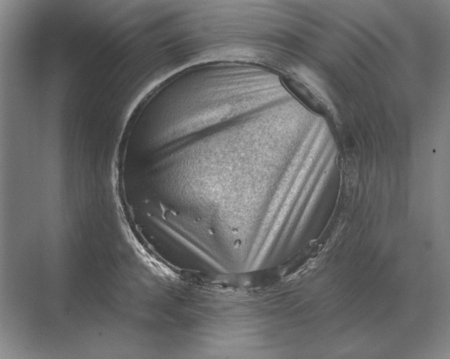 X0000068830944200605191855