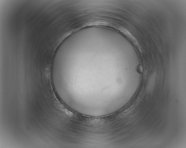 X0000068830945200605191855