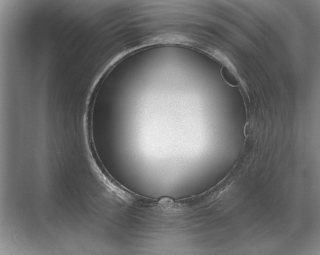 X0000068830947200605191855