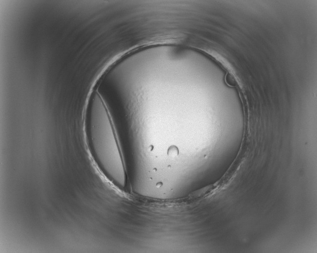 X0000068830949200605191855