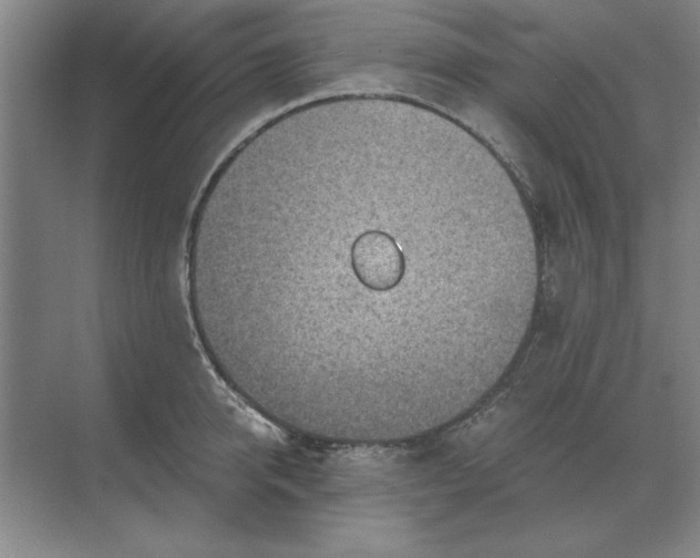 X0000068830950200605191855