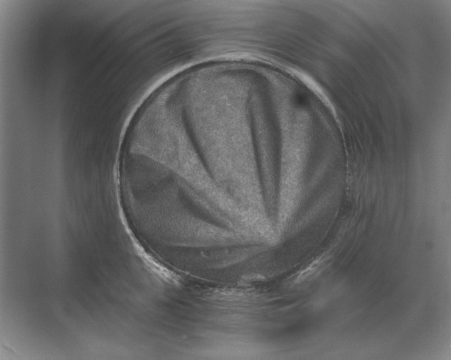 X0000068830951200605191855