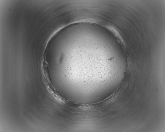 X0000068830952200605191855