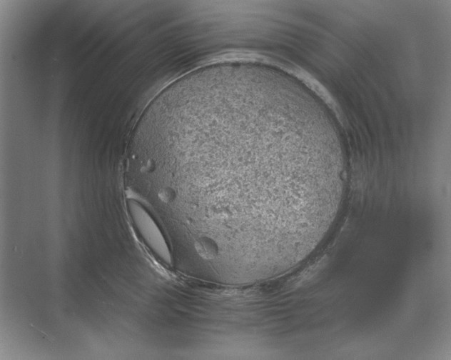 X0000068830953200605191855