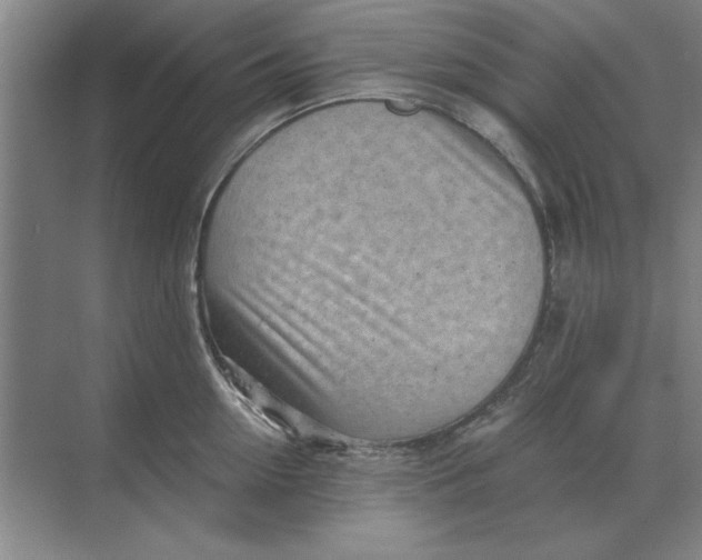 X0000068830954200605191855