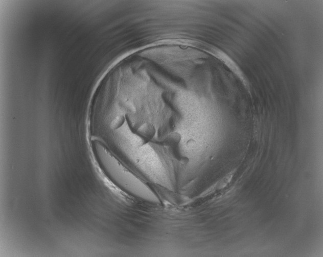 X0000068830955200605191855