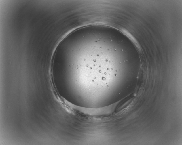 X0000068830956200605191855