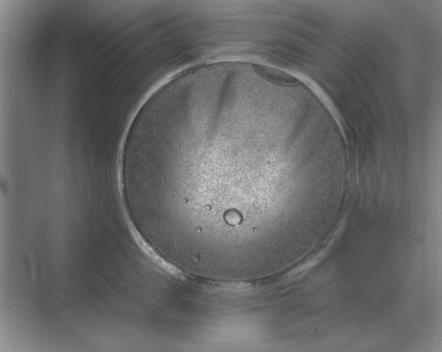 X0000068830957200605191855