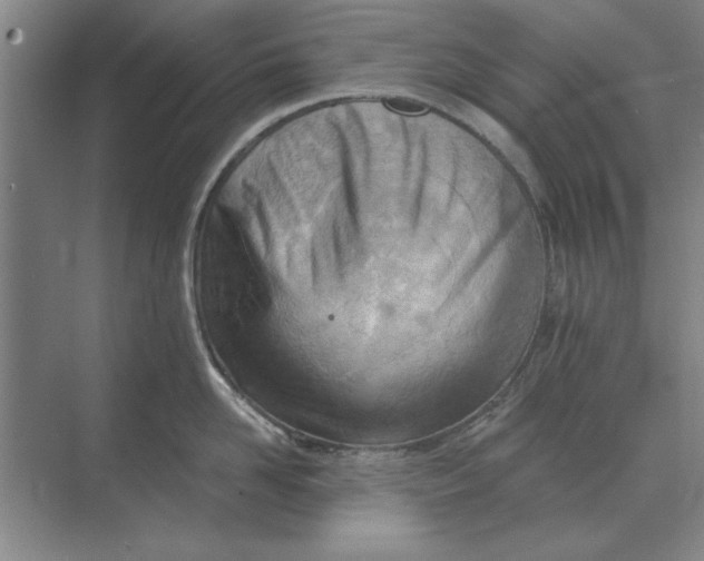 X0000068830958200605191855