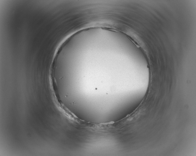 X0000068830960200605191855