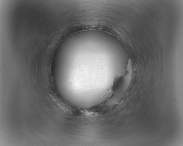 X0000068830961200605191855