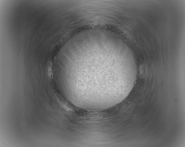 X0000068830963200605191855