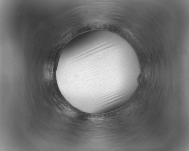 X0000068830964200605191855