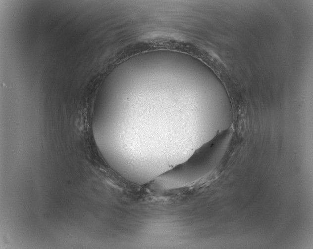 X0000068830965200605191855