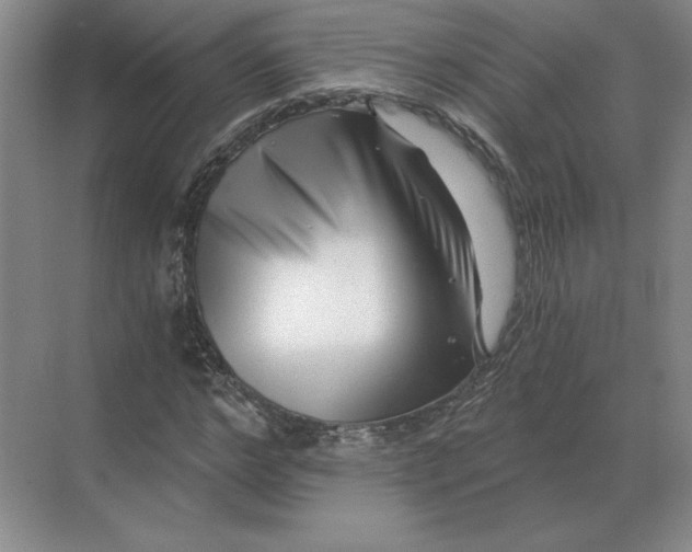 X0000068830968200605191855