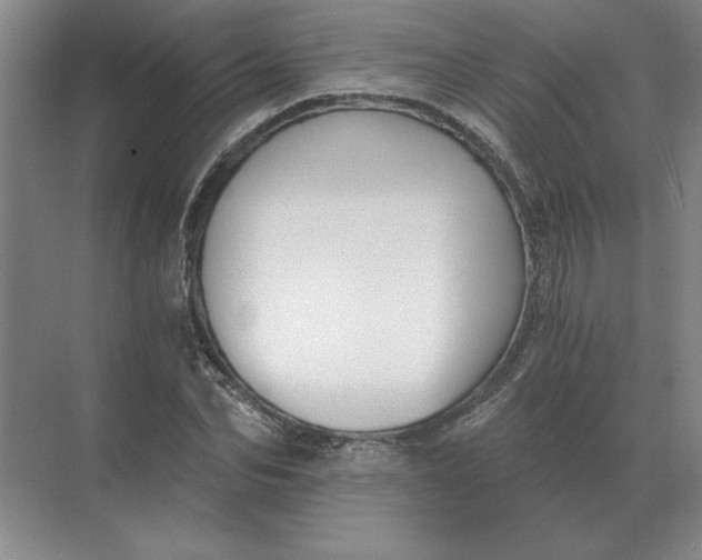 X0000068830974200605191854